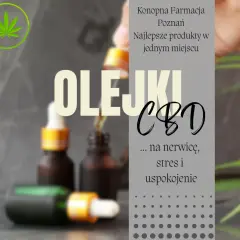 Co to są olejki CBD? Poznaj ich właściwości i zastosowanie w zdrowiu