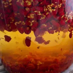 Wino z dzikiej róży przepis: czerwone owoce w bursztynowym płynie, gotowe do fermentacji.