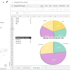 Grafico a torta 3D che mostra la distribuzione dei tempi di attesa in ospedale.