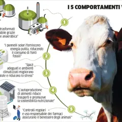 Allevamento della Lombardia: energia rinnovabile da reflui, pannelli solari, spazi adeguati, autoproduzione cibo e controlli sui farmaci per il benessere animale.