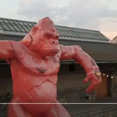 Pomarańczowa, gigantyczna małpa z tatuażami na klatce piersiowej i ramieniu, jakby przygotowana do walki na czeluść festiwal.