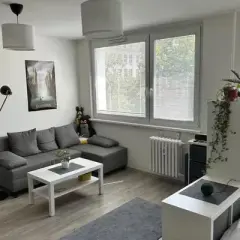 Ile kosztuje wynajem mieszkania w Czechach? Ceny, które zaskakują
