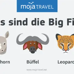 Die Big Five Afrikas: Löwe, Nashorn, Büffel, Leopard und Elefant als bunte Illustrationen.
