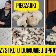 Jak uprawiać pieczarki w domu - proste kroki dla początkujących