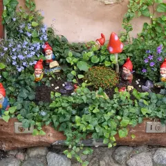 Ein alter Koffer dient als Blumenbeet. Gartenzwerge und rote Pilze bevölkern die üppige Bepflanzung.