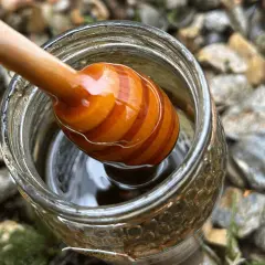 Un agitador de miel de madera con rayas naranjas se sumerge en un frasco de miel dorada, listo para comenzar la ruta de la miel.