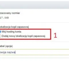 Jak przenieść stronę WordPress na inną domenę bez problemów