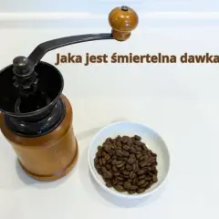Drewniany młynek do kawy i miseczka z ziarnami. Czy to początek drogi do śmiertelnej dawki kofeiny?
