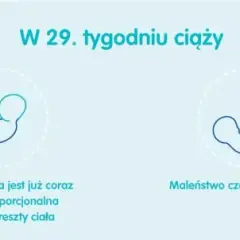 29 tydzień ciąży - w jakim miesiącu jesteś i co cię czeka?