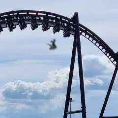 Energylandia - ile wypadków? Szokujące statystyki i incydenty