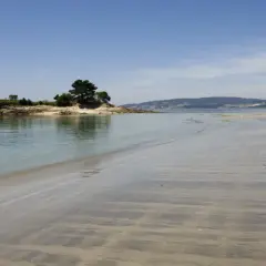 Arena mojada y rocas con árboles en la **praia do santo**. El mar tranquilo refleja el cielo azul.