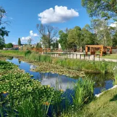 Malowniczy staw z liliami wodnymi i trzcinami, w tle drewniane altany i plac zabaw w parku Agrykola.
