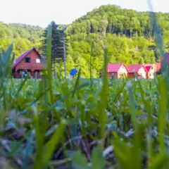 Nocleg pod Tarnicą: Wybierz idealne miejsce w Bieszczadach!