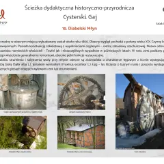 Koronowo atrakcje: Odkryj najbardziej zaskakujące miejsca w mieście