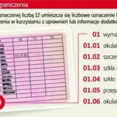 Czy trzeba wozić prawo jazdy? Sprawdź, co grozi za brak dokumentu w aucie