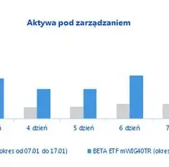 Beta ETF mWIG40TR: Co to jest i jak w niego inwestować?