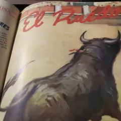 Un toro bravo en el ruedo, con el título "El Ruedo" y la palabra "coquilla torero" en el texto.