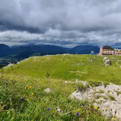 Watzmannhaus Wanderung: Ein Berggasthof thront auf einem grünen Kamm, umgeben von blühenden Almwiesen und dramatischen Wolken.
