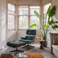Ein gemütliches Mid-Century-Wohnzimmer mit einem grünen Sessel und Hocker, einer großen Zimmerpflanze und einem beigen Sofa.