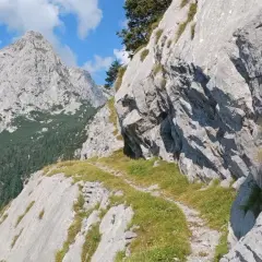 Ein schmaler Pfad schlängelt sich durch die felsige Landschaft der Karnischen Alpen. Im Hintergrund ragen schroffe Gipfel in den blauen Himmel.
