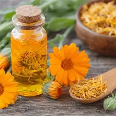 Huile de calendula, fleurs fraîches et séchées, un concentré des bienfaits du calendula pour la peau.