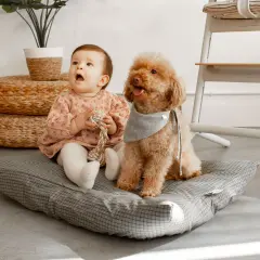 Un bebé y un perro juguetón disfrutan de un momento tierno en casa, sentados juntos en un cojín.