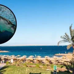 Hurghada czy jest bezpiecznie? Co musisz wiedzieć przed wyjazdem