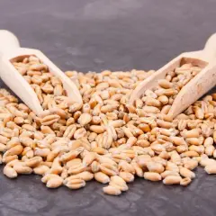 Czy makaron ma gluten? Rozwiewamy wątpliwości i wskazujemy alternatywy