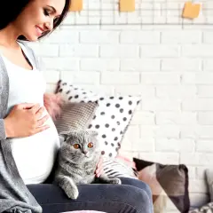 Donna incinta sorride accarezzando il gatto. Un pensiero al toxo test per la sua serenità.