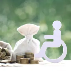 Symbol osoby na wózku inwalidzkim obok worków z pieniędzmi i monet. Świadczenie wspierające 2025.