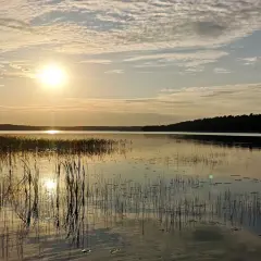 Zachód słońca nad spokojnymi jeziorami mazurskimi. Woda odbija złote światło, a na pierwszym planie widać trzciny.
