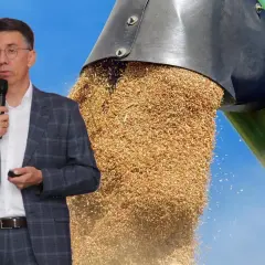 Mężczyzna w garniturze przemawia na tle strumienia zbóż. Dyskusja o cenach zbóż.