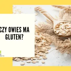 Płatki owsiane na łyżce i kłosy zbóż. Czy owies ma gluten? Pytanie o zawartość glutenu w owsie.