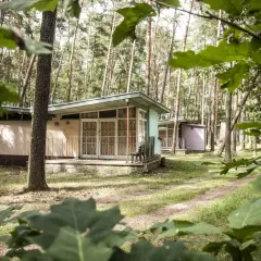 Dawne ośrodki wczasowe w lesie, z małymi domkami i ścieżkami.