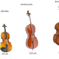 Skrzypce, altówka, wiolonczela i kontrabas – oto jakie są instrumenty strunowe, prezentowane w kolejności od najmniejszego do największego.