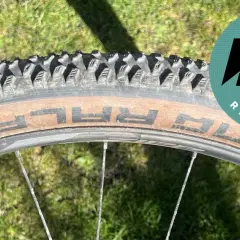 Close-up of a Schwalbe Racing Ralph tire on a bike wheel, ready for a review. The tan sidewall shows the "RALPH" branding.