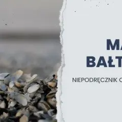 Jakie muszle występują w Bałtyku? Odkryj niezwykłe gatunki!