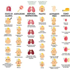 Scala COMFORT: valuta lo stato del neonato, dal pianto alla calma, con attenzione alla lingua verde neonato.