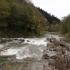 Kamieniste koryto rzeki tworzy dziką, sine wiry trasę. Woda pieni się, otoczona jesiennymi drzewami i skalistymi brzegami.