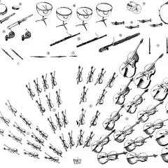 Disposition d'un orchestre symphonique : cordes, bois, cuivres, percussions et harpes.