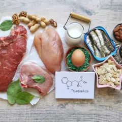 Fleisch, Fisch, Eier, Nüsse und Milchprodukte sind reich an Tryptophan. Über Tryptophan Nebenwirkungen muss man sich bei ausgewogener Ernährung meist keine Sorgen machen.
