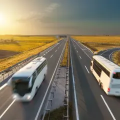Dwa białe autobusy jadące po autostradzie w słoneczny dzień, otoczone polami.