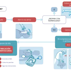 Diagrama de primeros auxilios: si alguien no responde, grita pidiendo ayuda, abre la vía aérea. Si no respira, llama al 112. Si hay mareo, sudor y ganas de vomitar, sigue los pasos.