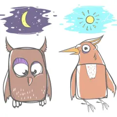 Sowa marzy o księżycu, ptak o słońcu. Ilustracja pokazuje różnice w chronotypie snu.