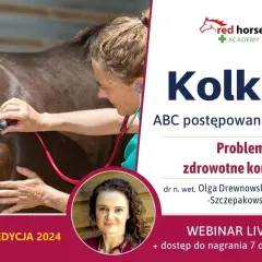 Objawy kolki u konia: jak je rozpoznać i uniknąć poważnych problemów