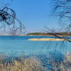 Turkusowe jezioro w Koninie, otoczone trzcinami i gałęziami drzew, lśni w słońcu.