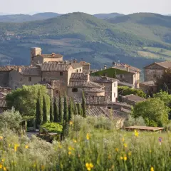 Radda in Chianti: borgo medievale tra colline verdi e uliveti. Un panorama da sogno per scoprire cosa vedere.