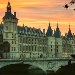 Citrouille géante et sorcière sur fond de château parisien. Idées pour savoir quoi faire pour Halloween, à partir de 7 ans. Chauves-souris et araignées volent.
