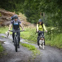 Två cyklister med hundar på en grusväg längs St. Olavsleden.