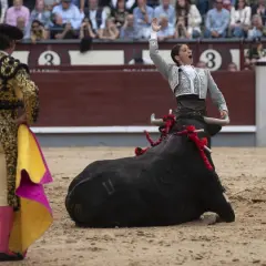Una torera, entre los **recortadores de toros**, se enfrenta a un toro negro en la arena.
